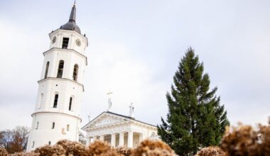Vilniaus Katedros aikštėje pastatyta Kalėdų eglė