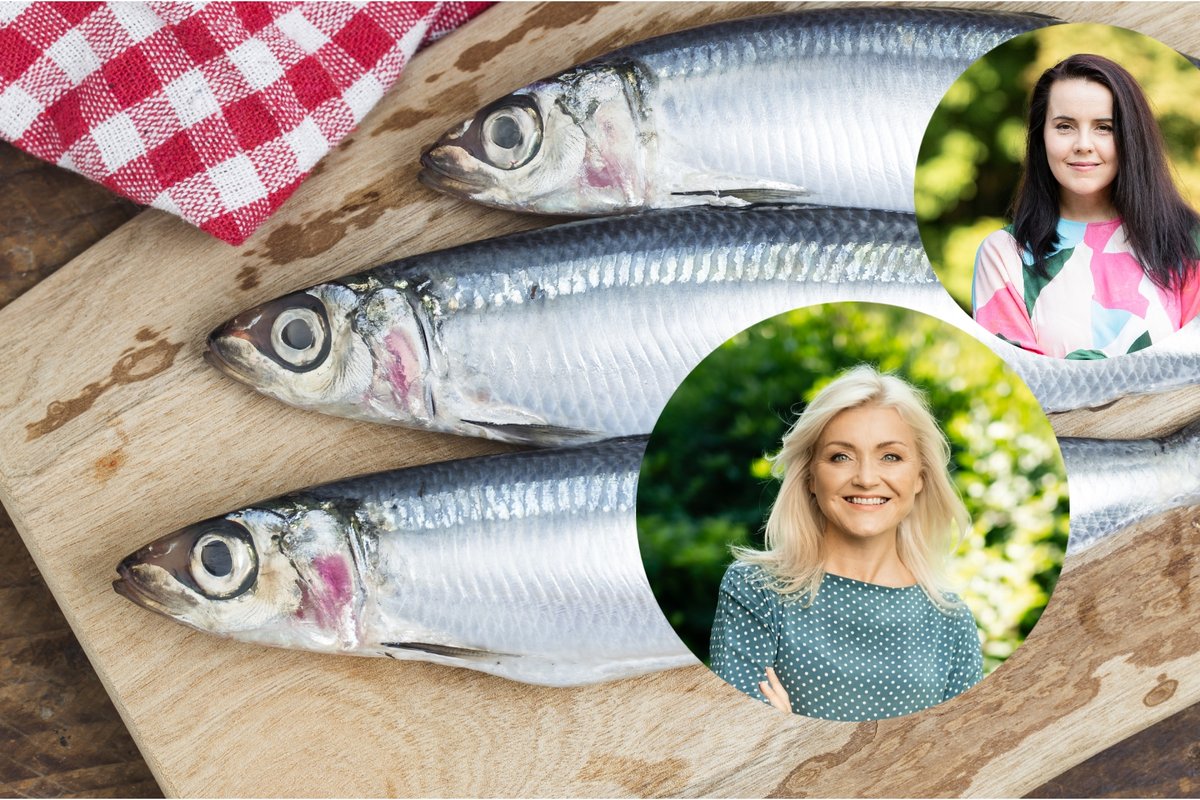 Ekspertės apie žuvis – šio 5 yra naudingiausios sveikatai