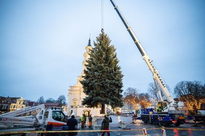 Pagrindinė Kauno miesto Kalėdų eglė