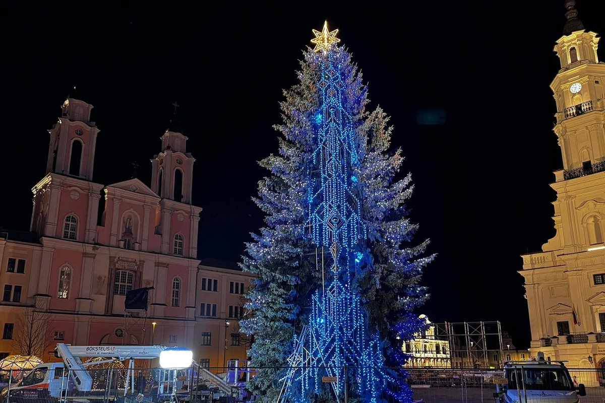 Kauniečiai piktinasi būsima Kalėdų egle: sugadino grožį