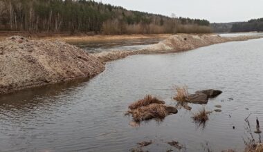 Dėl įtartinų darbų Nemune – 8 mln. eurų žala aplinkai