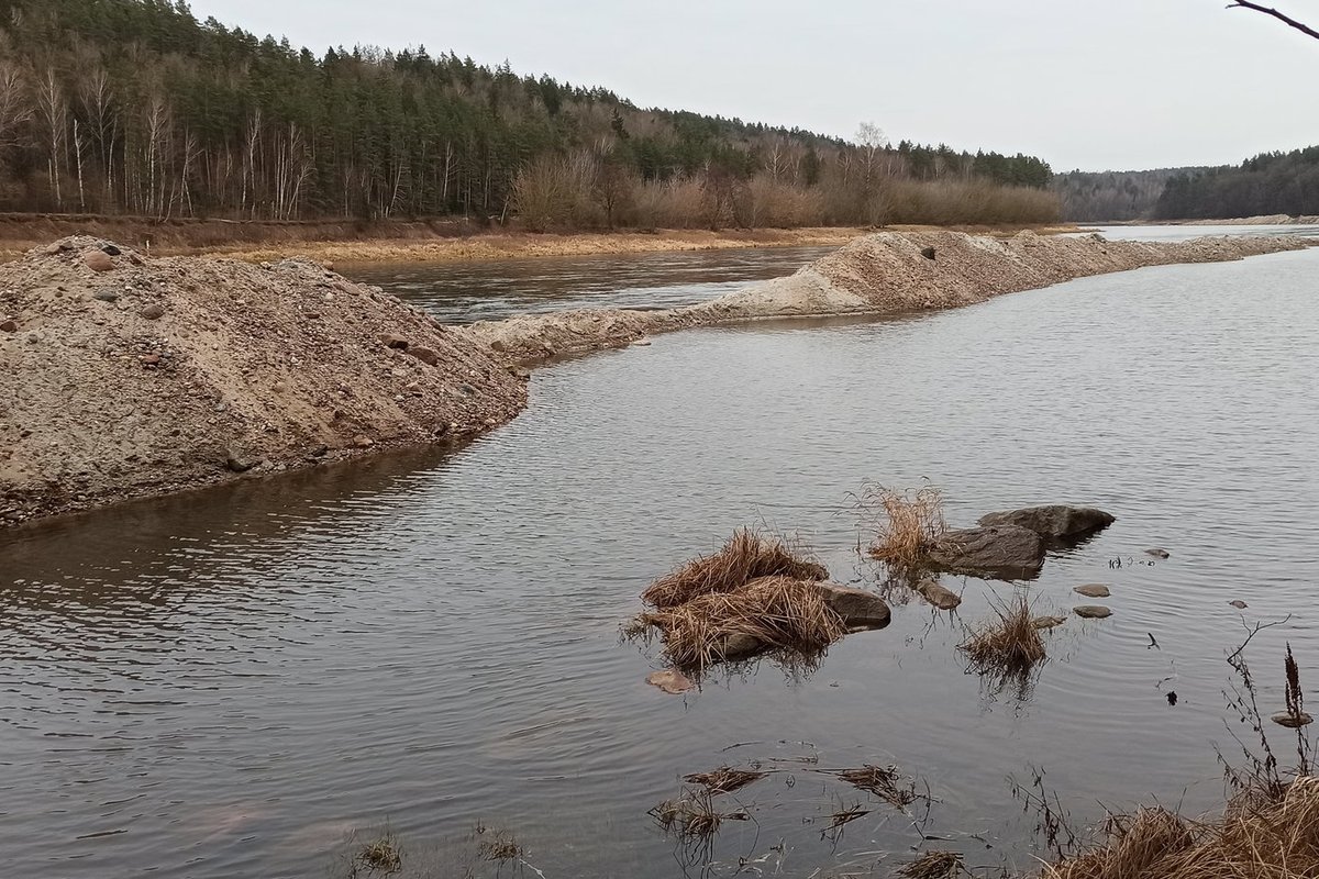 Dėl įtartinų darbų Nemune – 8 mln. eurų žala aplinkai