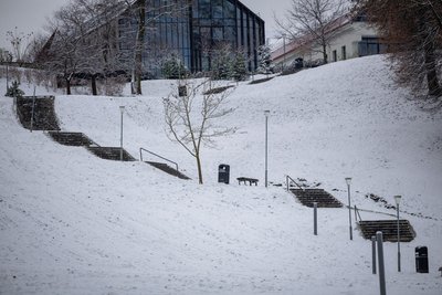 Vilnių nuklojo sniegas