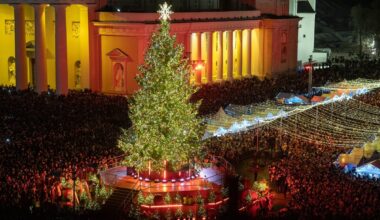 Katedros aikštėje netrukus sužibs Vilniaus Kalėdų eglė