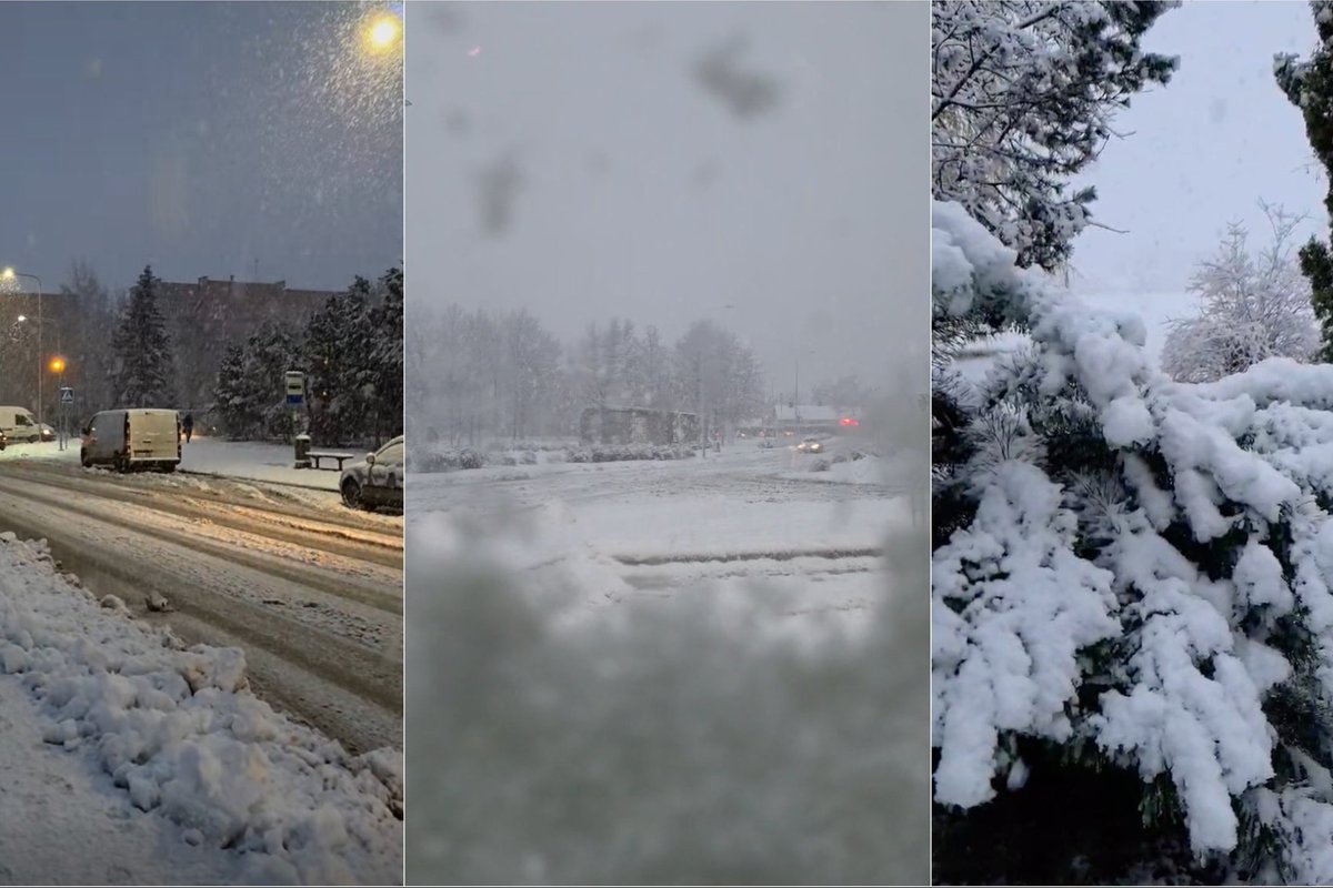 Trečiadienis Plungėje kaip giliausią žiemą: buvo net manančių, kad tai dirbtinio intelekto vaizdai