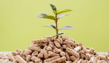 paskutinę spalio savaitę biokuras pabrango 4,5 proc.