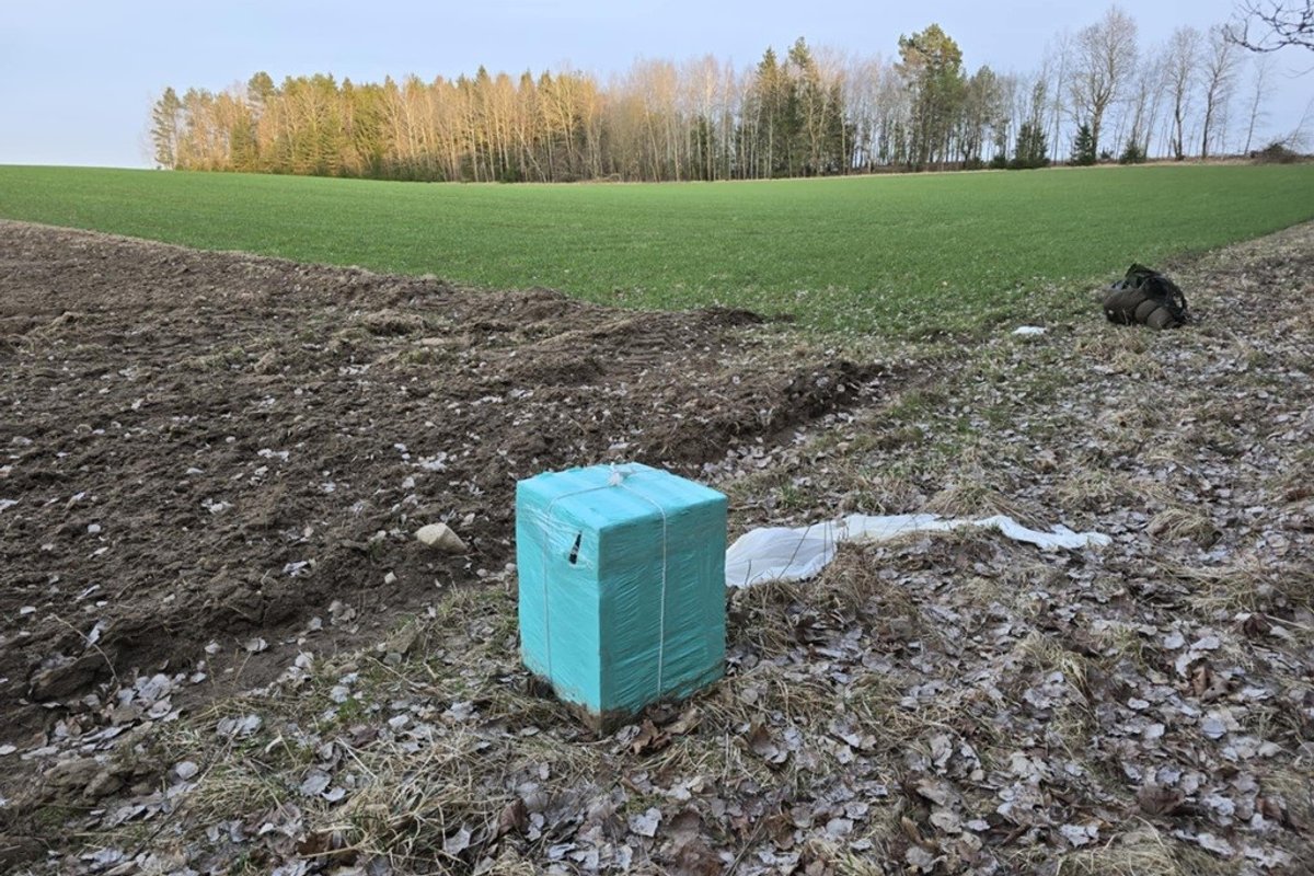 Žiniasklaida: į Lietuvą iš Baltarusijos įskrendančių balionų skaičius gali būti keliskart didesnis