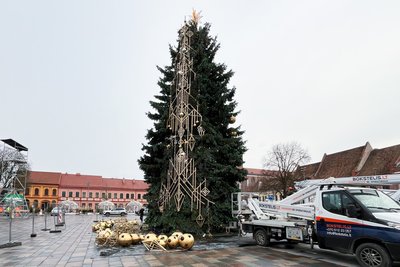 Kauno kalėdinės eglutės pristatymas