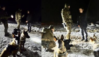 Pasieniečių kinologės Latvijoje padėjo sulaikyti įsibrovusį migrantą