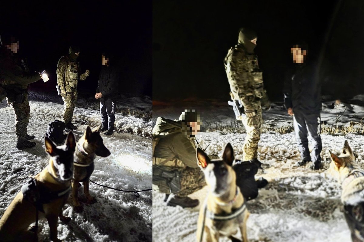 Pasieniečių kinologės Latvijoje padėjo sulaikyti įsibrovusį migrantą