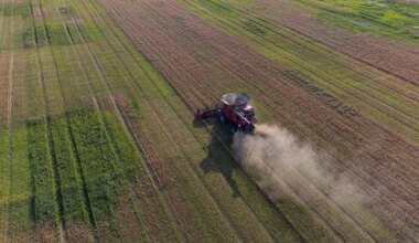 Žemės ūkis pripažintas Lietuvai strategiškai svarbiu sektoriumi