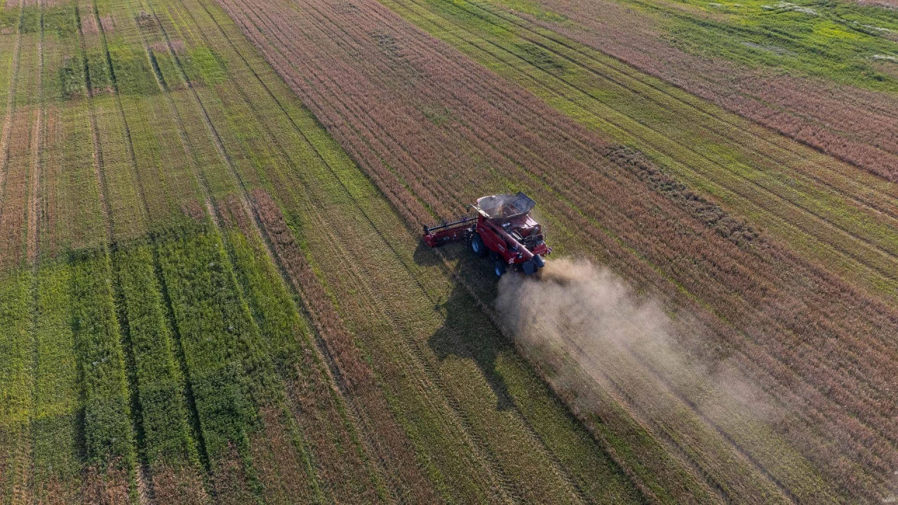 Žemės ūkis pripažintas Lietuvai strategiškai svarbiu sektoriumi