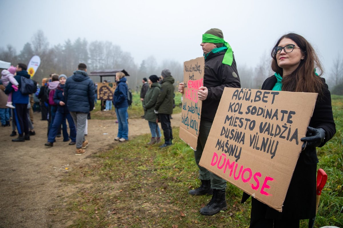 Žaliųjų protestas Vilniuje: valdžią ragina užsiimti realiomis problemomis, ne viešaisiais ryšiais - Delfi