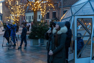 Į Kauno Rotušės aikštę atvežta Kalėdinė eglė