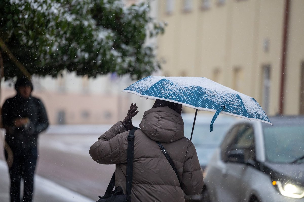 Lietuva priims tik dalį migrantų: už likusius susimokės