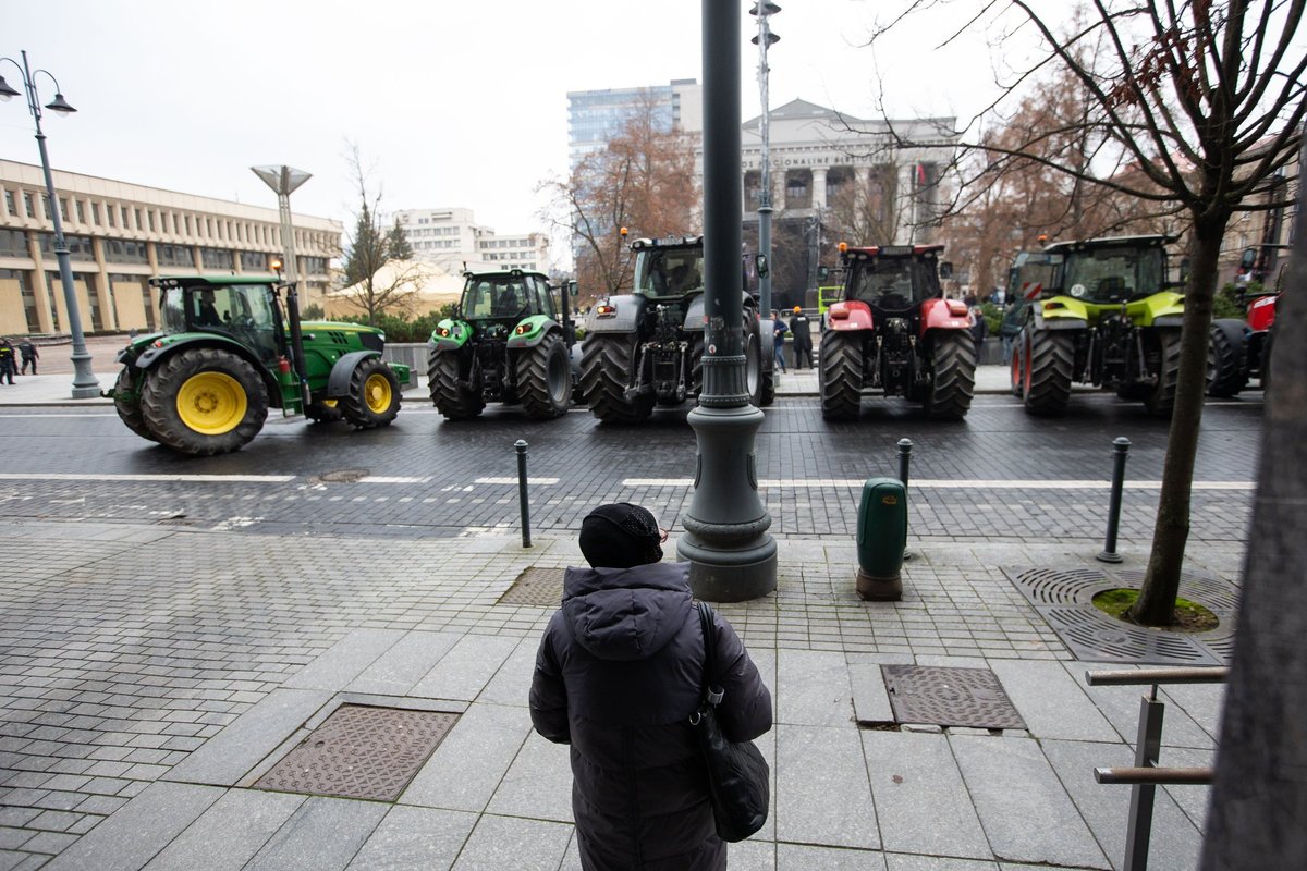 Prasideda mitingas „Kokios valstybės mes norime?“