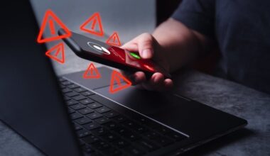 Sukčių grobis: vilnietė atidavė per 66 tūkst. eurų, klaipėdietė – 65 tūkst. eurų