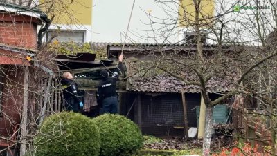 Alytuje į namo kiemą nusileido kontrabandininkų balionas (Alytausgidas.lt nuotr.)