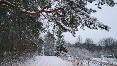 Sniegas Jonavos rajone