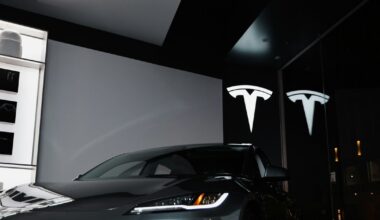 „Tesla Model 2“ su pilna įkrova nuvažiuos 1500 kilometrų? Ekspertai griauna internautų mitus
