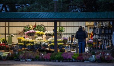 Vilniaus kapinės penktadienio vakare – dar apytuštės