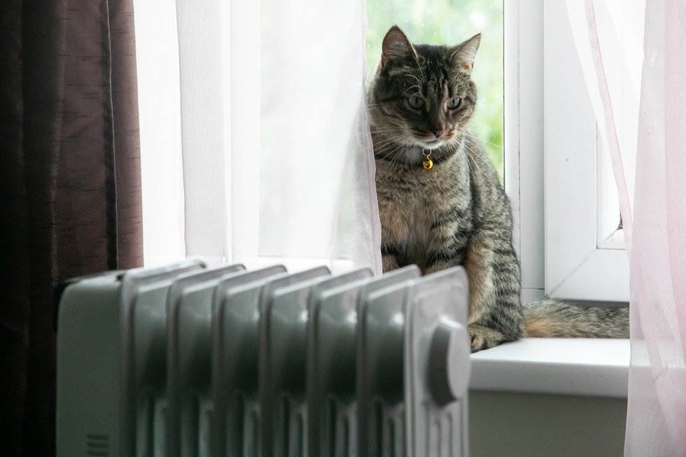 Šildymo sezonas (nuotr. Elta)