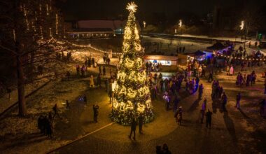 Trakų miesto Kalėdų eglė - Kalėdos