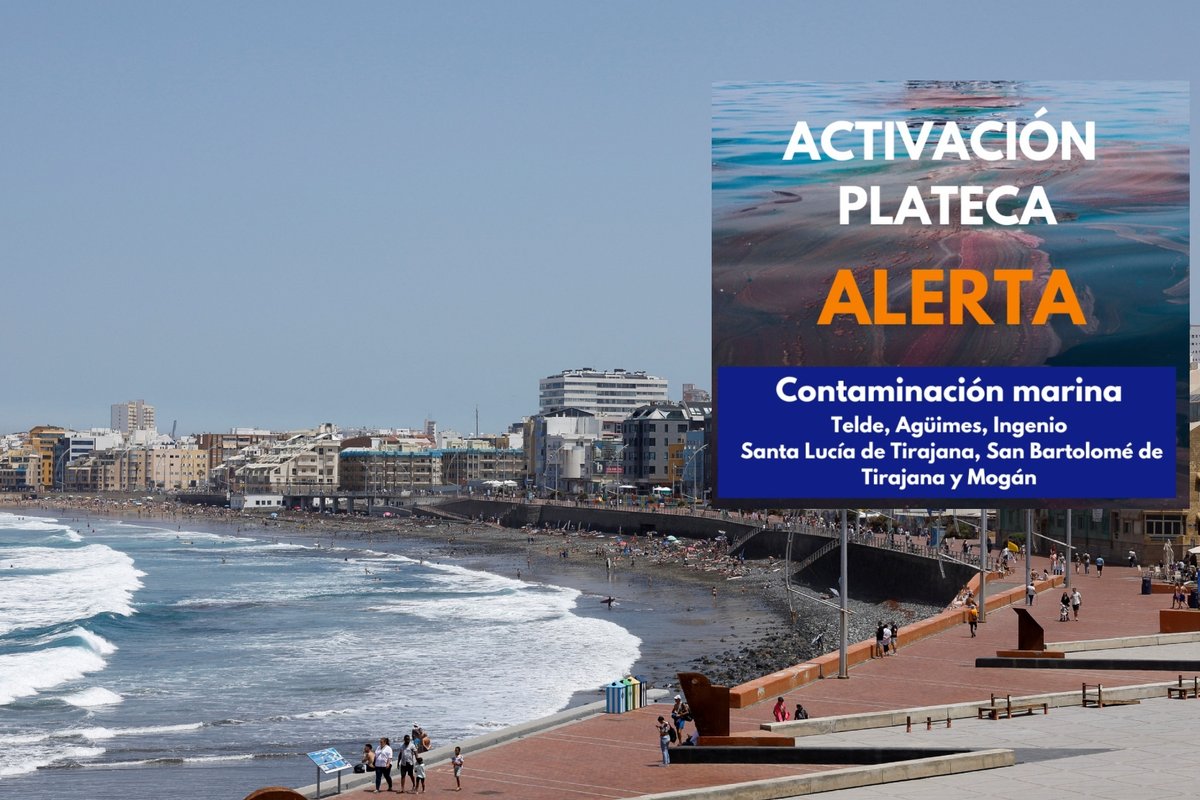 Gran Kanarijoje dėl supuvusių žuvų atliekų uždaryta 17 paplūdimių