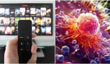 TV laidų vedėjai – vėžys: „Vieną rytą aš pamačiau“