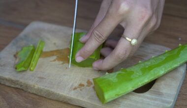 Supermaistas virtuvėje: kaip alaviją panaudoti maisto gaminimui