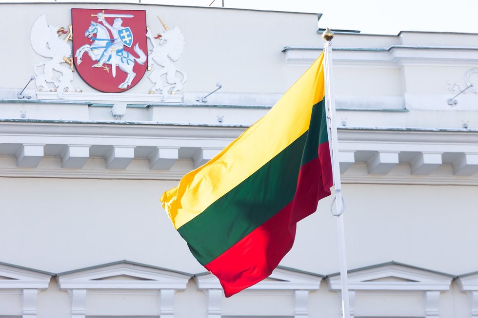 Lietuvos vėliava (nuotr. Elta)
