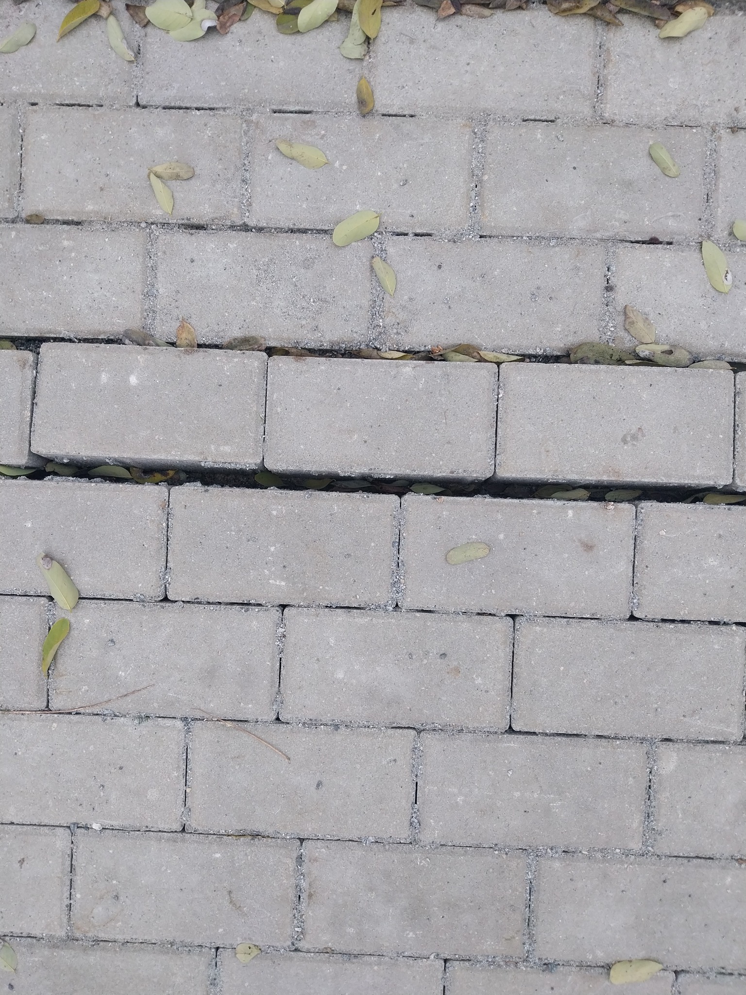 Darbų brokas Milikonių įkalnėje / Skaitytojos nuotr.