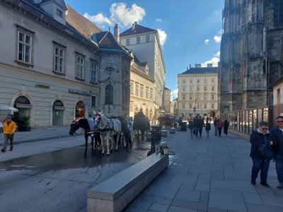 Kelionės akimirkos iš Vienos