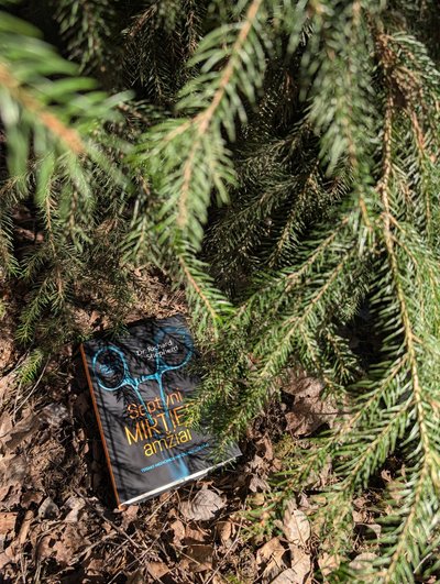 „Septyni mirties amžiai“