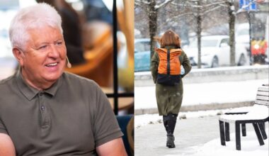 Gamtininko Paltanavičiaus žiemos prognozė: permaininga ir šilta