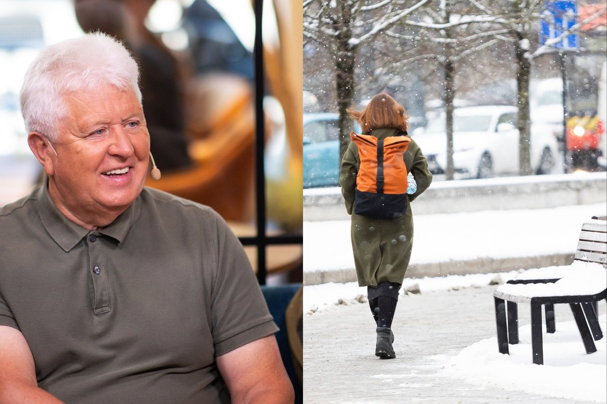 Gamtininko Paltanavičiaus žiemos prognozė: permaininga ir šilta