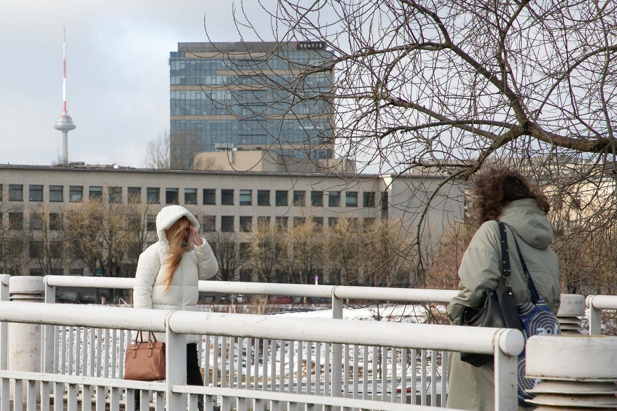 Vilnietė sukritikavo kvietimą jautriai akcijai: o 17-tą dieną tai jau pateisinama? - Delfi