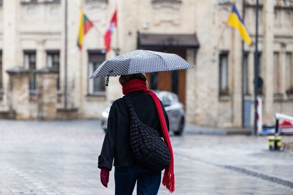 Ruduo sostinėje (Paulius Peleckis/ BNS nuotr.)