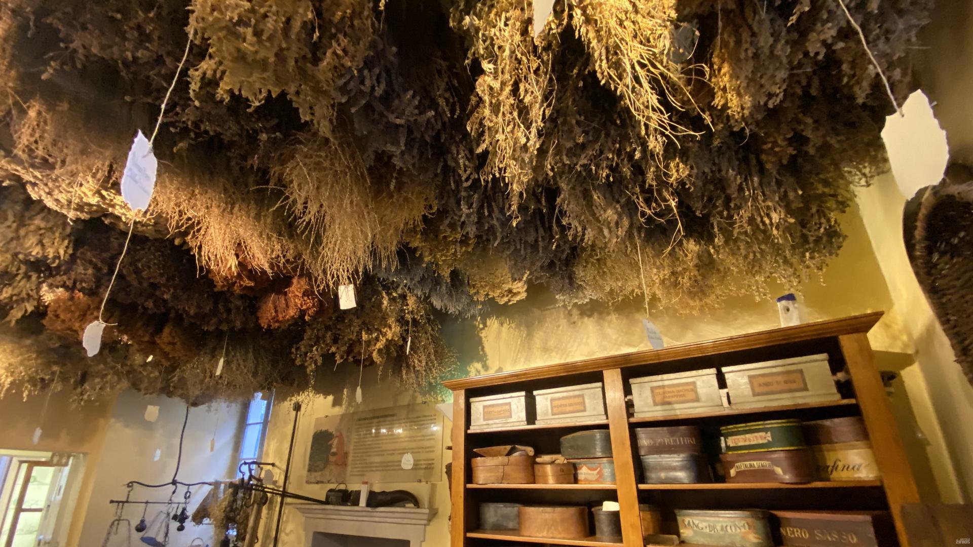 Sveikatos priežiūros produktų gamintojos „Aboca“ muziejus, Sansepolcro mieste, Italijoje