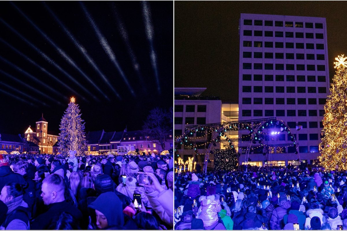 Kuri Kauno Kalėdų eglė gražesnė: šių metų ar pernykštė?