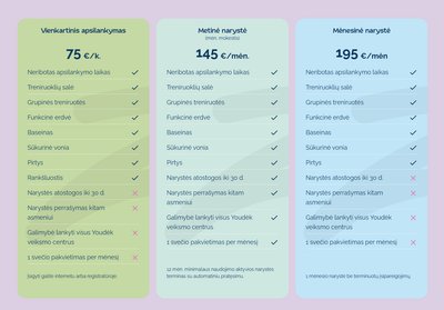 Vilniuje Rinktinės g. 3, įsikursiančio sporto klubo „Youdėk“ kainos