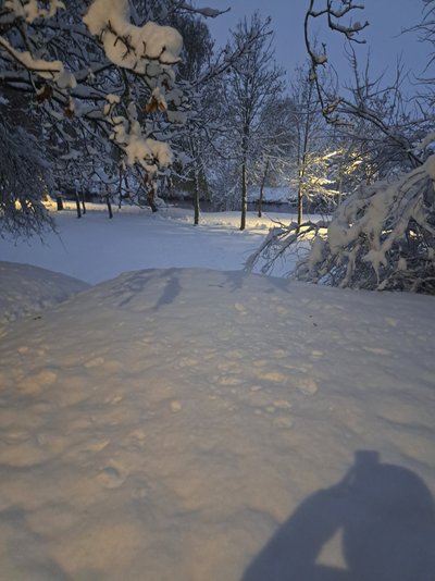 Sniegas Marijampolėje