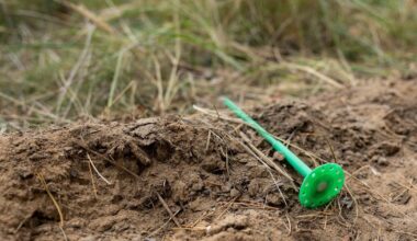 Grįžę iš užsienio nerado savo namų: įtaria, kad pasisavino svetimas žmogus