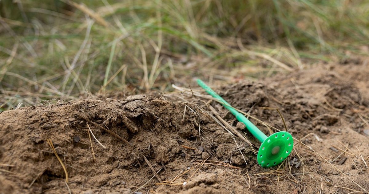Grįžę iš užsienio nerado savo namų: įtaria, kad pasisavino svetimas žmogus