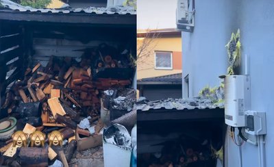 Gerdos Žemaitės socialinių tinklų nuotr.