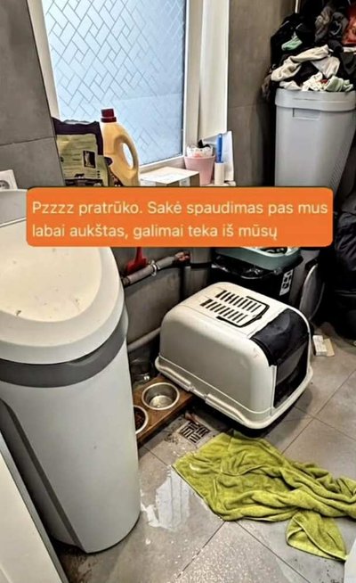 Akvilės Mažuolės pokštas, iškrėstas vyrui