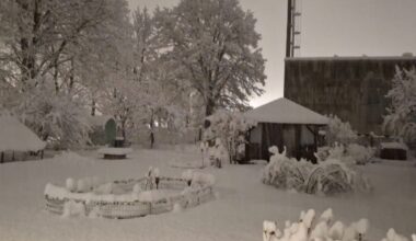 Estiją užvertė sniegas - Delfi