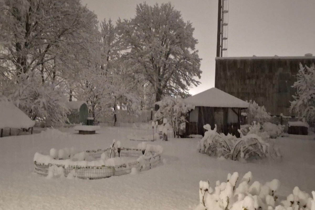 Estiją užvertė sniegas - Delfi