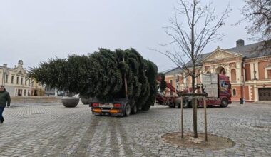 Kalėdinė eglutė Klaipėdoje: šventės prasideda