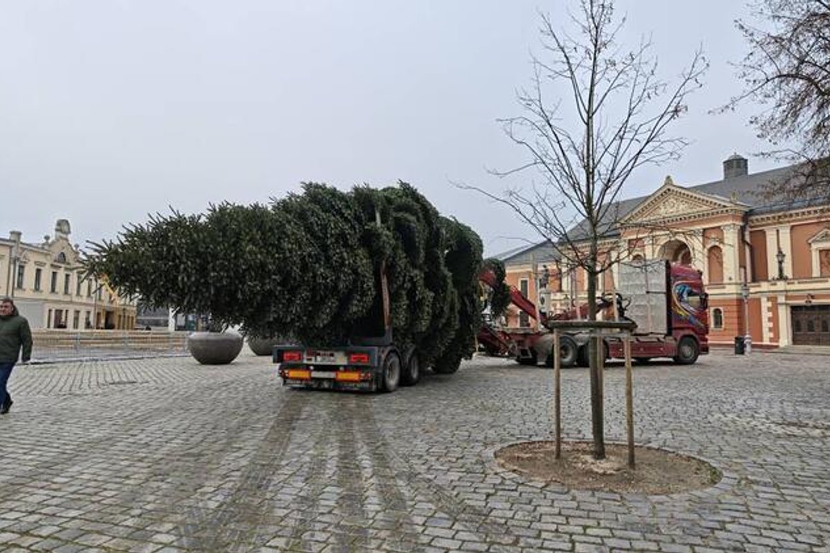 Kalėdinė eglutė Klaipėdoje: šventės prasideda